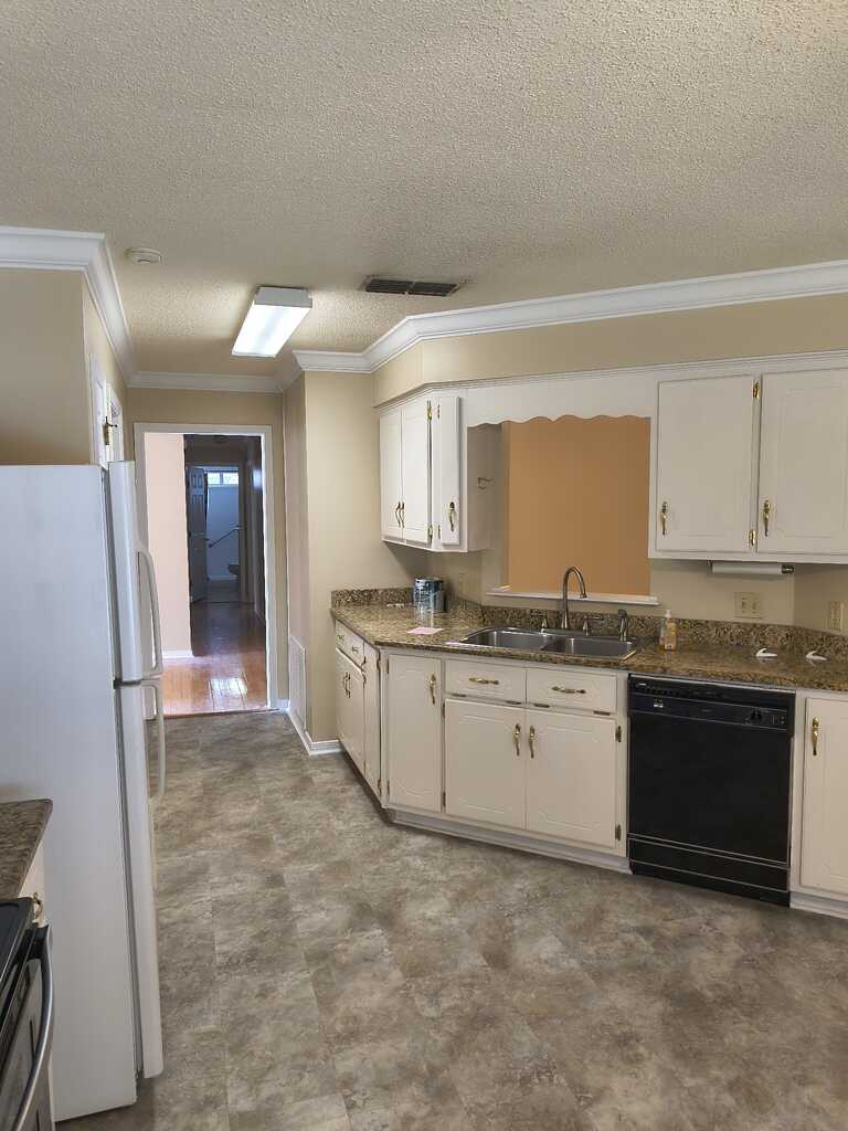 Kitchen cabinets with dark countertops
